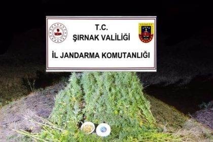sirnakta-jandarmadan-22-milyon-861-bin-liralik-kacakcilik-operasyonu-2-tutuklama