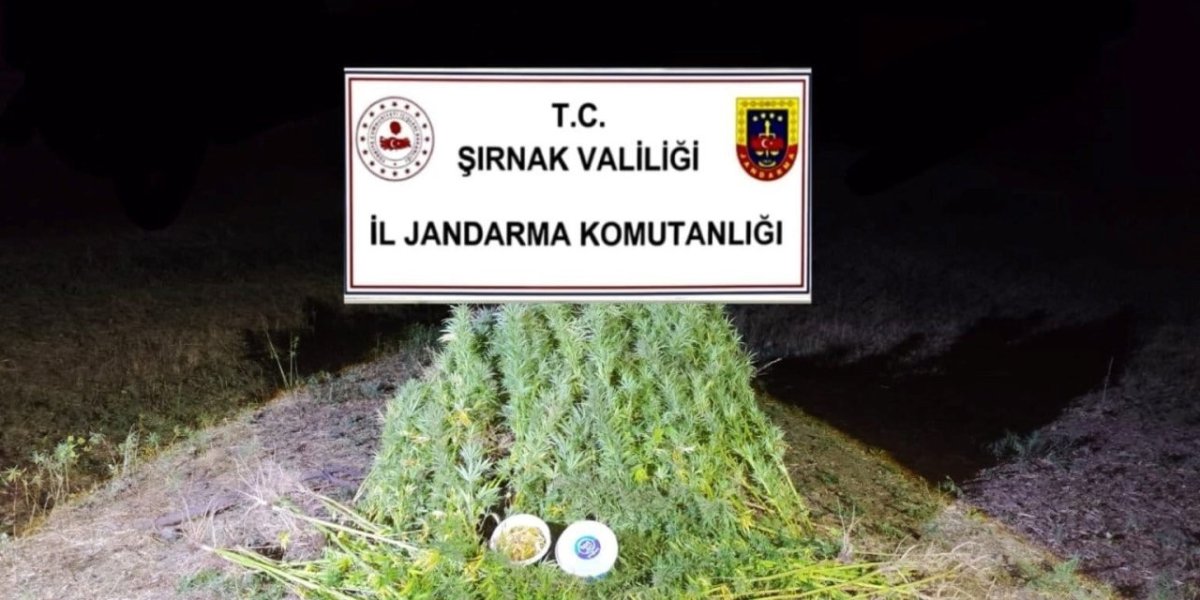 sirnakta-jandarmadan-22-milyon-861-bin-liralik-kacakcilik-operasyonu-2-tutuklama