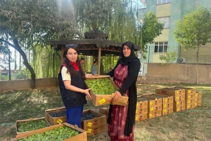 sirnakta-take-projesi-kapsaminda-ureticilere-fide-ve-tohum-destegi