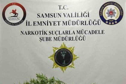 bafrada-33-kok-hint-keneviri-ele-gecirildi