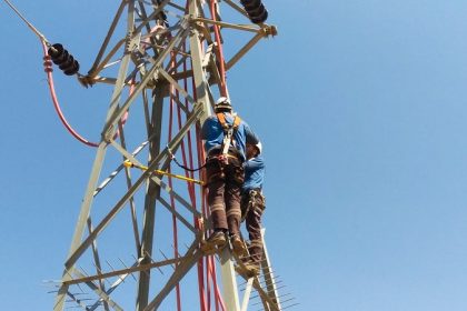firat-edas-kesintisiz-enerji-arzini-ve-leylekleri-guvence-altina-aliyor