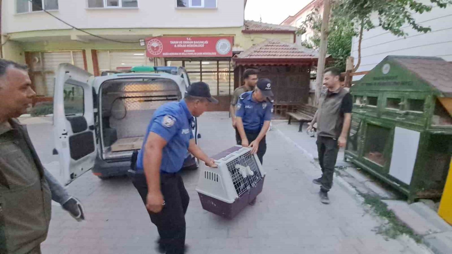 karamanda-yarali-leylek-koruma-altina-alindi