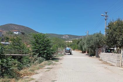 bayirkoyde-yabani-otlar-temizlendi