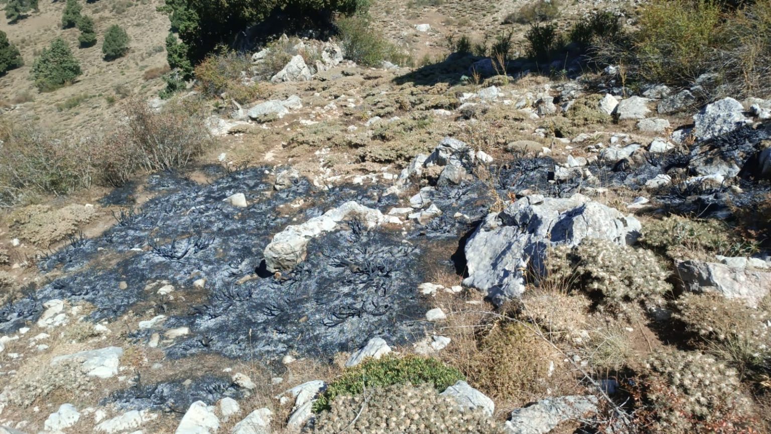 burdurda-calilik-alanda-yangin