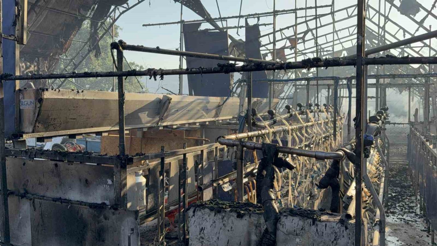 duzcedeki-orman-yangininda-keci-uretim-ciftligi-kule-dondu