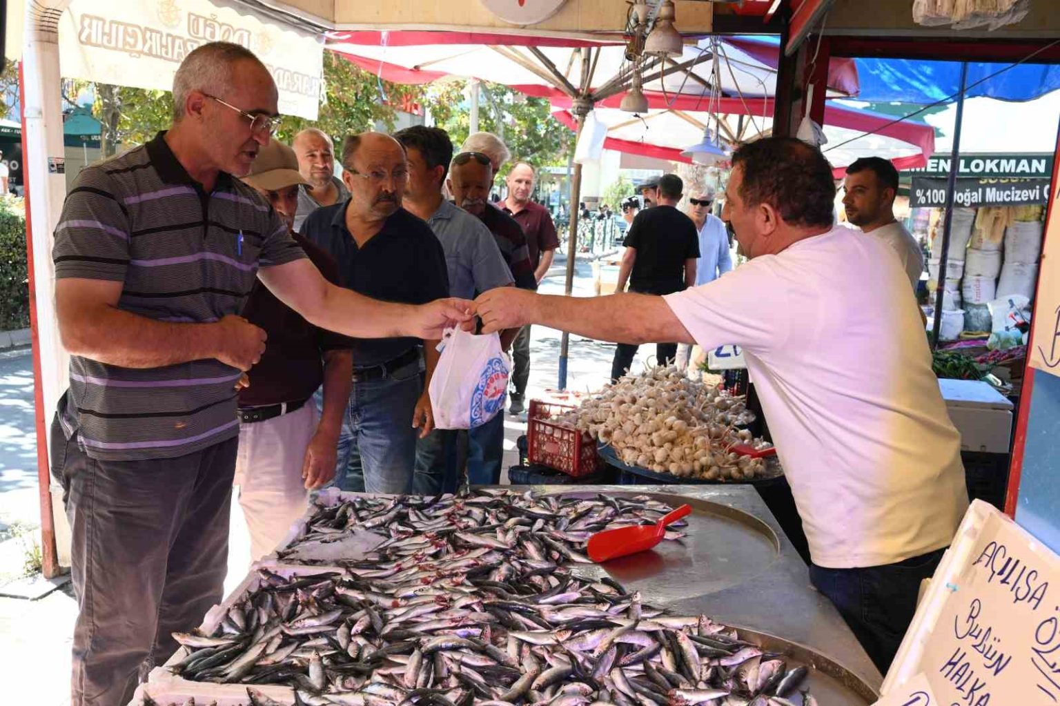 eskisehirde-hayrina-balik-dagitma-yarisi-2-gunde-6-ton-dagitildi