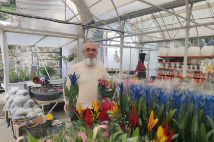 her-sey-bir-kaktus-ile-basladi