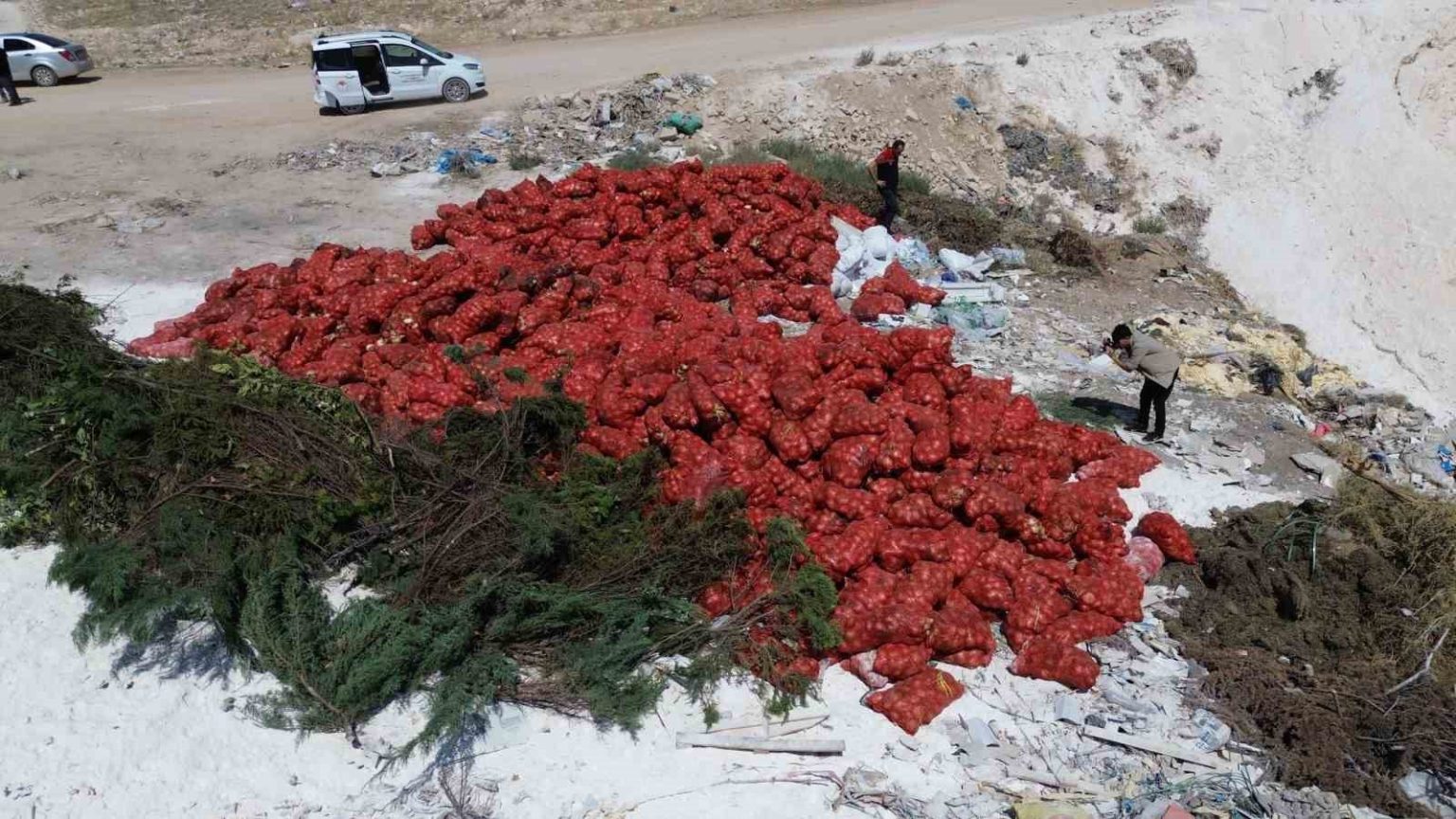 karamanda-tonlarca-sogan-bos-araziye-atilmis-halde-bulundu