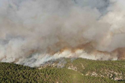 kastamonudaki-orman-yanginlarinda-2-bin-736-hektar-alan-zarar-gordu