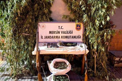 mersinde-bahcelerine-kenevir-eken-3-supheli-yakalandi