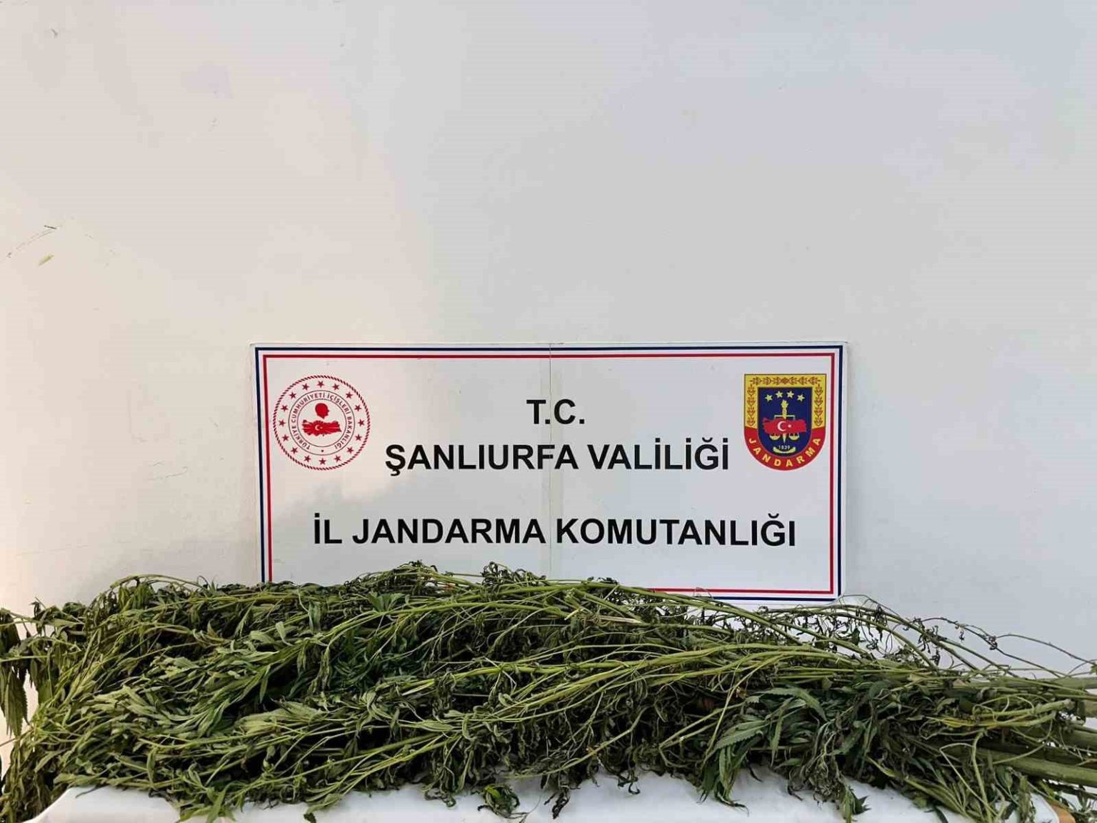 sanliurfada-uyusturucu-operasyonu-42-gozalti