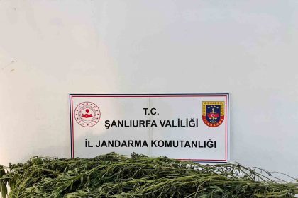 sanliurfada-uyusturucu-operasyonu-42-gozalti