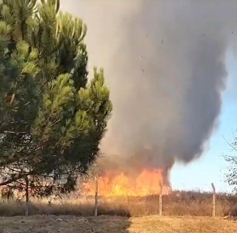 tekirdagda-korkutan-yangin