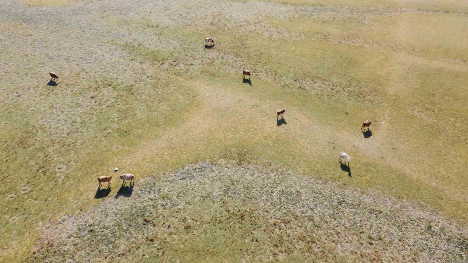 uc-zamanli-dron-cekimi-kurakligi-belgeledi-gelingullu-baraji-alarm-veriyor