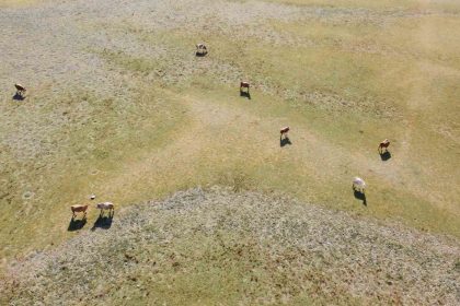 uc-zamanli-dron-cekimi-kurakligi-belgeledi-gelingullu-baraji-alarm-veriyor