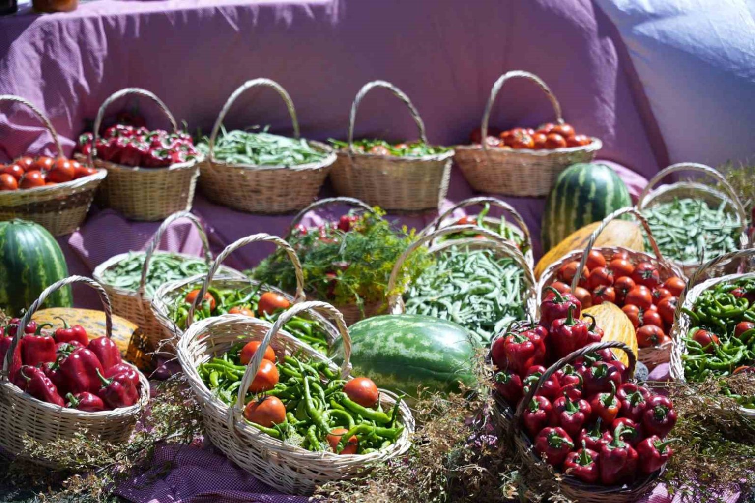 uluslararasi-cubuk-tursu-ve-kultur-festivali-basladi