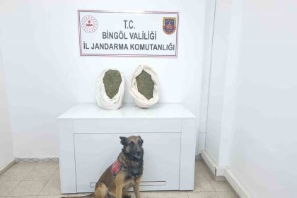 bingolde-jandarma-ekipleri-10-kiloya-yakin-esrar-ele-gecirdi