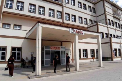 boluda-ayi-saldirisinda-1-kisi-yaralandi-saldiri-sonrasi-av-karari
