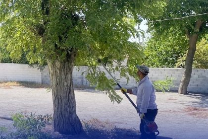 cinede-okul-bahceleri-yeni-doneme-hazir