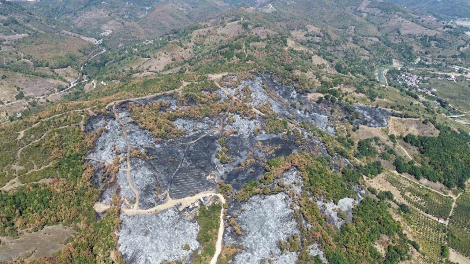 duzcedeki-yanginin-boyutu-havadan-goruntulendi