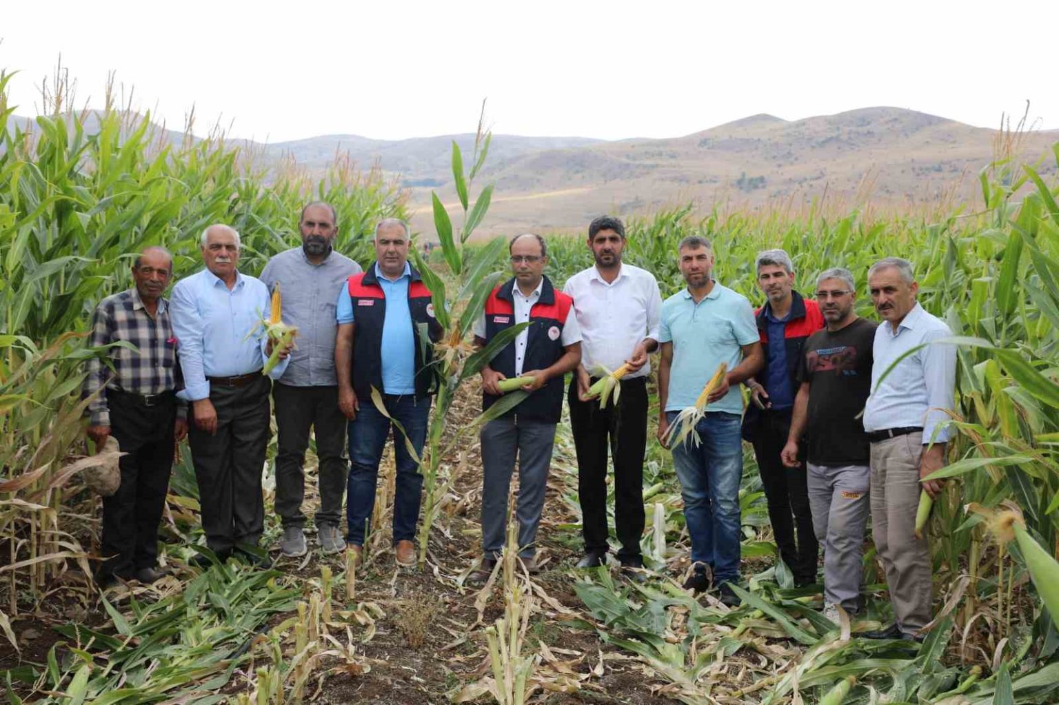 elazigda-98-bin-ton-silajlik-misir-uretimi-bekleniyor