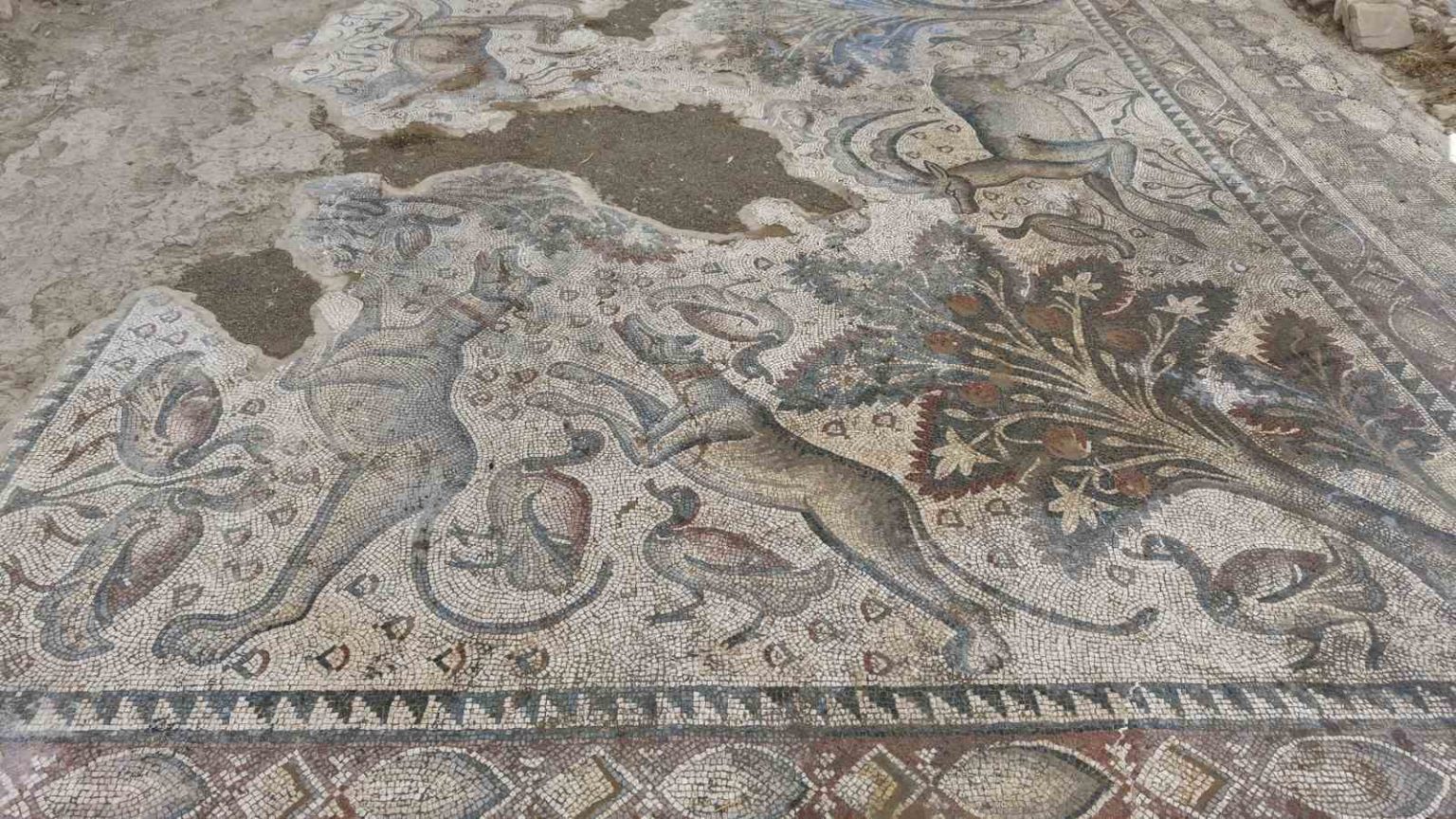 hayvan-figurleriyle-dolu-bin-700-yillik-roma-mozaigi-burjuva-yasaminin-izlerini-tasiyor
