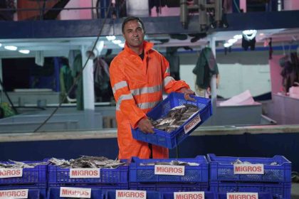 migros-tuketicilere-15-bin-ton-taze-balik-ulastiracak