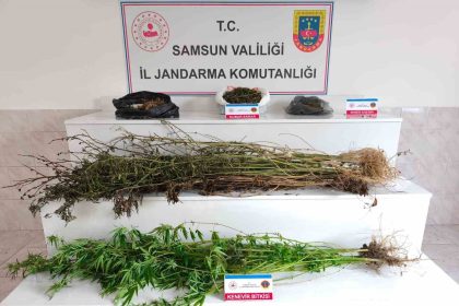 samsunda-jandarma-2-kilo-355-gram-esrar-ele-gecirdi-2-gozalti