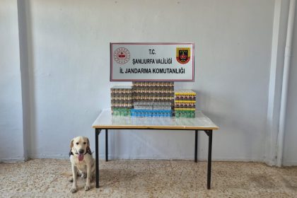 sanliurfada-7-bin-777-paket-gumruk-kacagi-sigara-ele-gecirildi