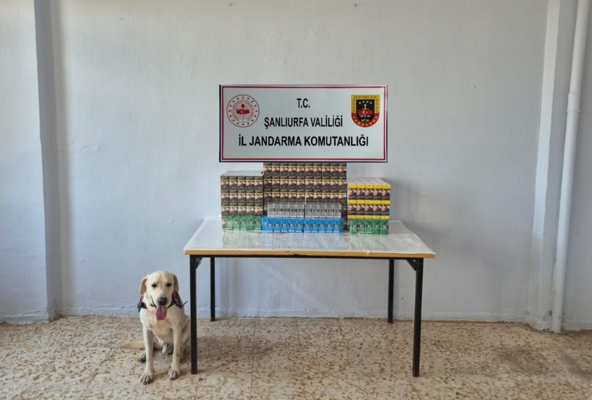 sanliurfada-7-bin-777-paket-gumruk-kacagi-sigara-ele-gecirildi