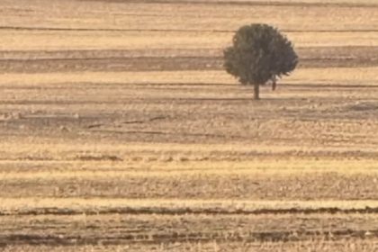 silopide-bir-kisi-arazide-olu-bulundu