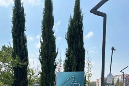 ak-parti-il-baskani-albayraktan-millet-bahcesiyle-ilgili-aciklama