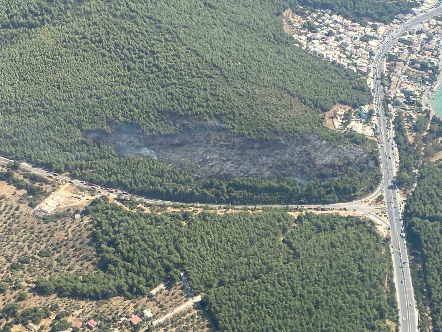 bodrum-orman-yangini-kontrol-altina-alindi