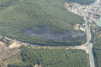 bodrum-orman-yangini-kontrol-altina-alindi