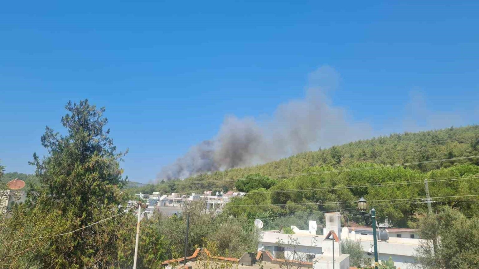 bodrumda-orman-yangini-basladi
