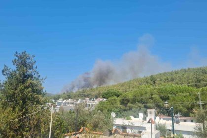 bodrumda-orman-yangini-basladi