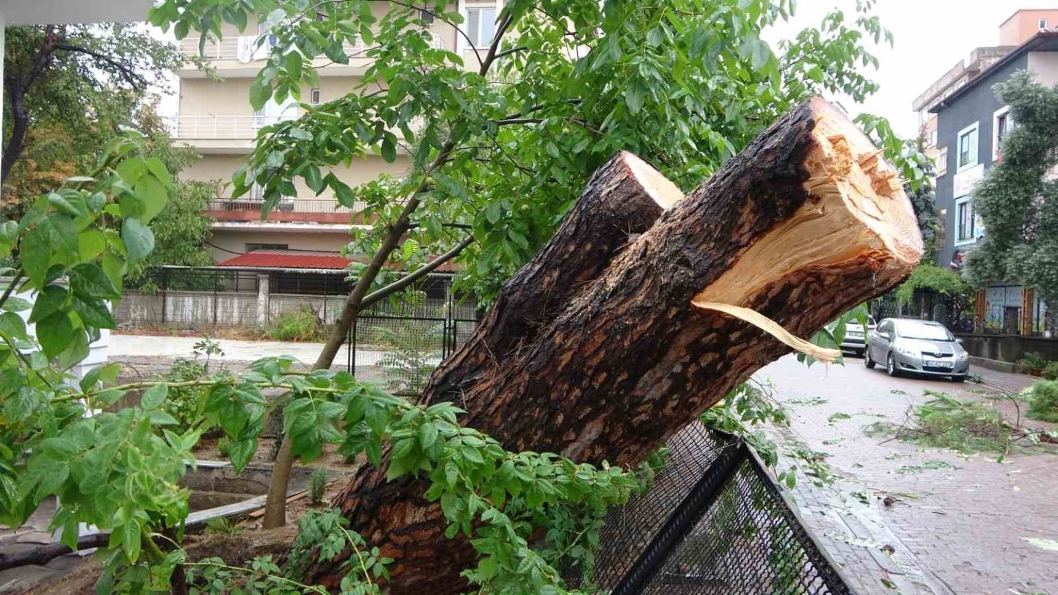 kocaelide-saganak-yildirim-evin-catisina-dustu