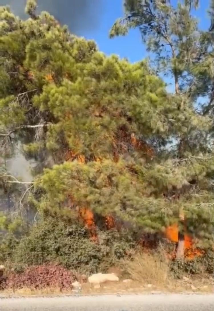 mersin-erdemlide-orman-yangini-buyumeden-sonduruldu