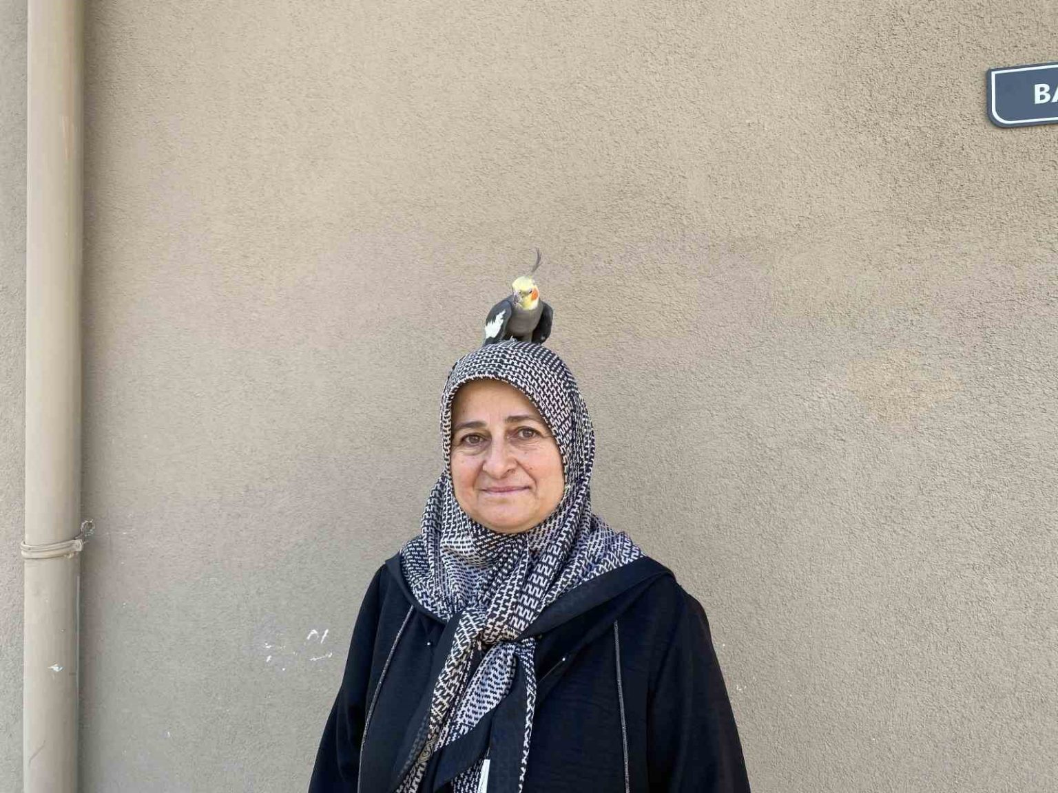 torunu-icin-sahiplendi-papagan-cocugu-gibi-oldu