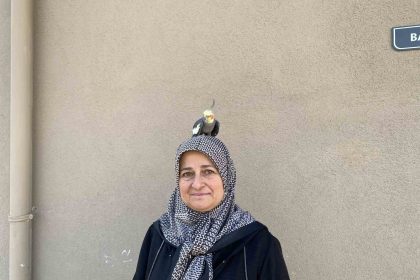 torunu-icin-sahiplendi-papagan-cocugu-gibi-oldu