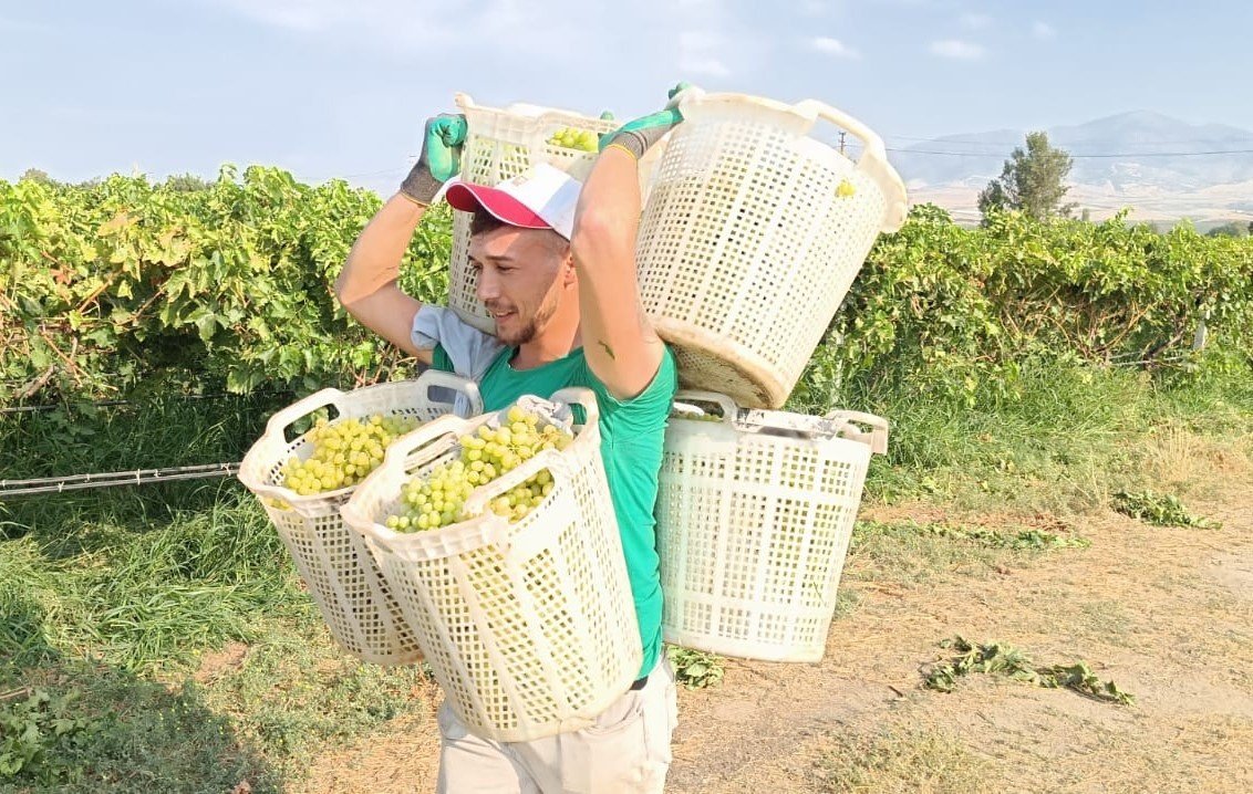 baglarin-herkulu-120-kilo-tasidi