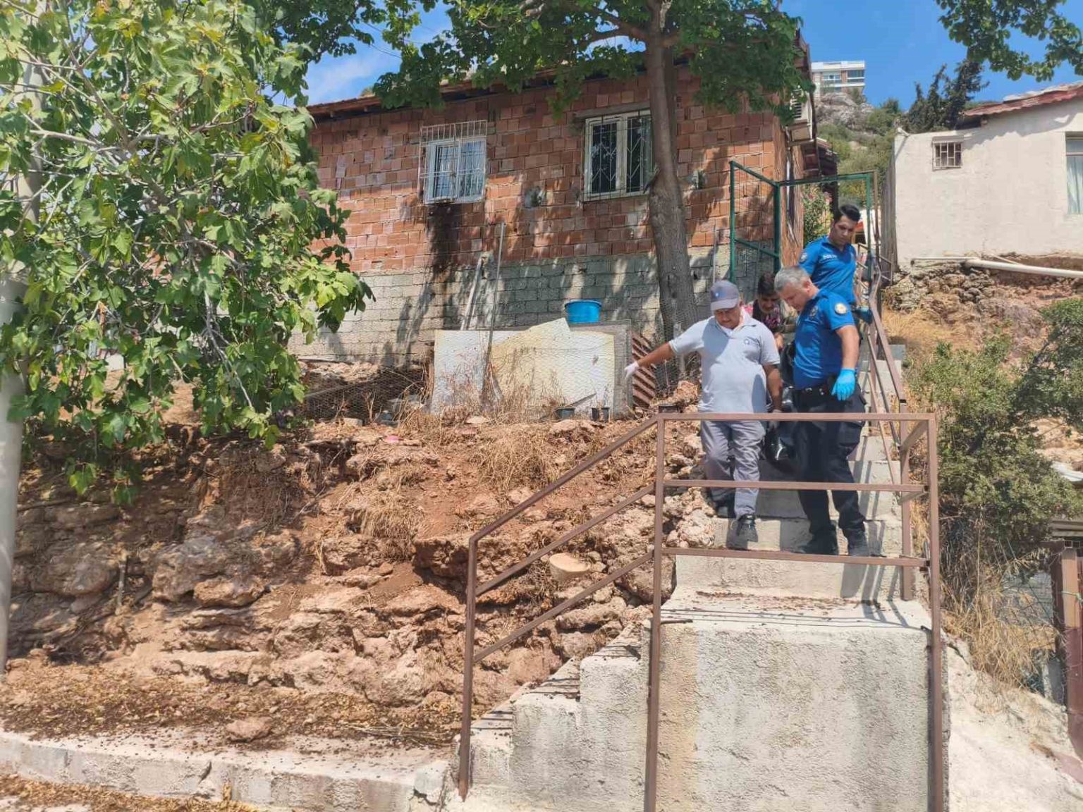 gurultuyu-devrilen-kedi-kopek-mamasi-zannettiler-gercek-sabah-ortaya-cikti