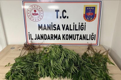 manisada-bahcesine-kenevir-eken-kisi-tutuklandi