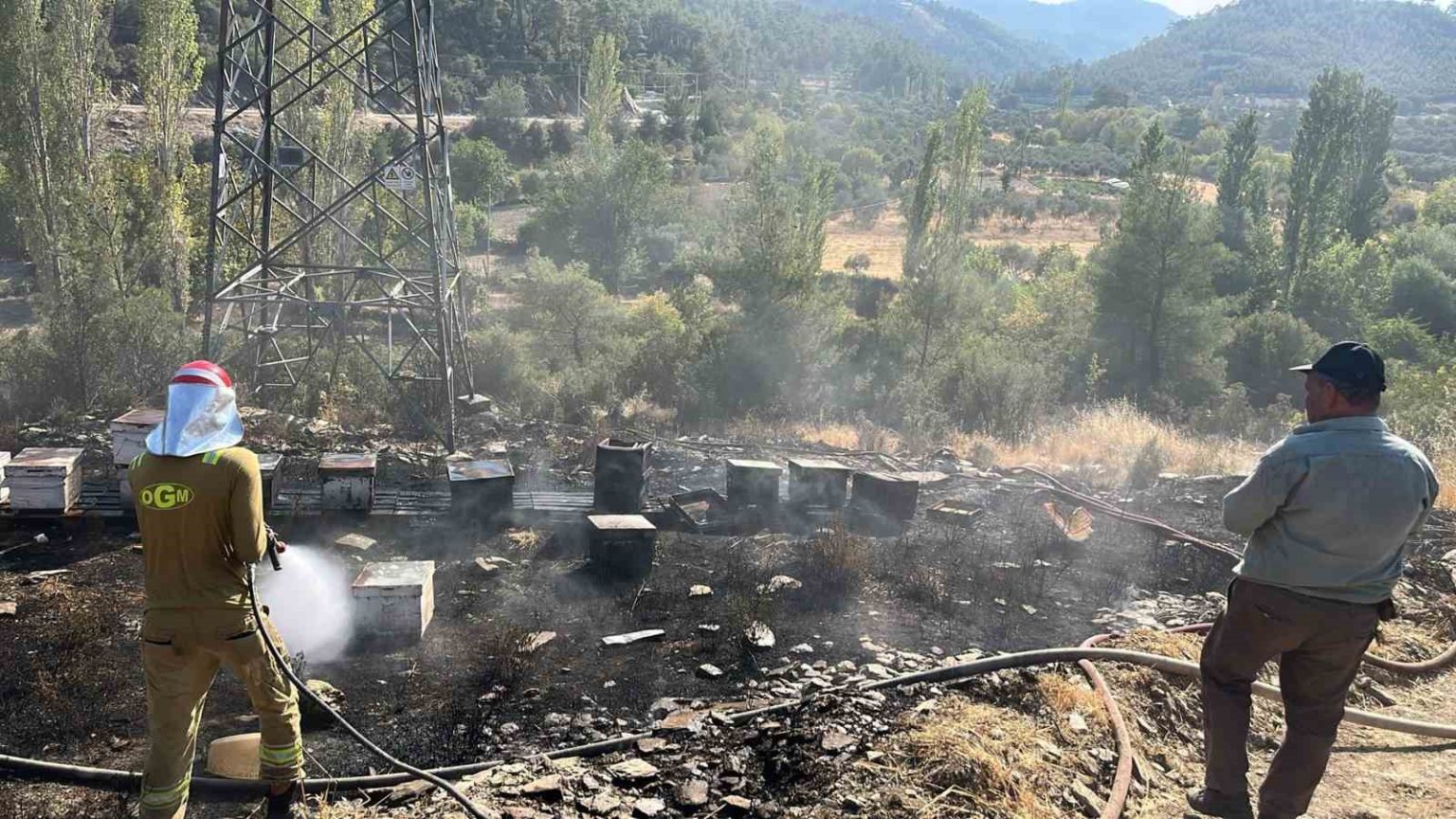 ormanci-turkusunun-yakildigi-geveneste-bu-defa-ari-kovanlari-yandi