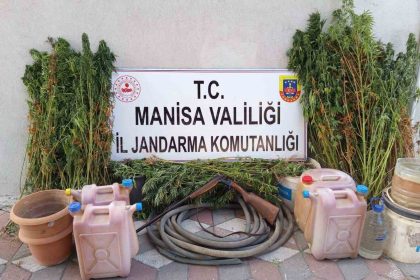 yasa-disi-kenevir-eken-sahis-tutuklandi