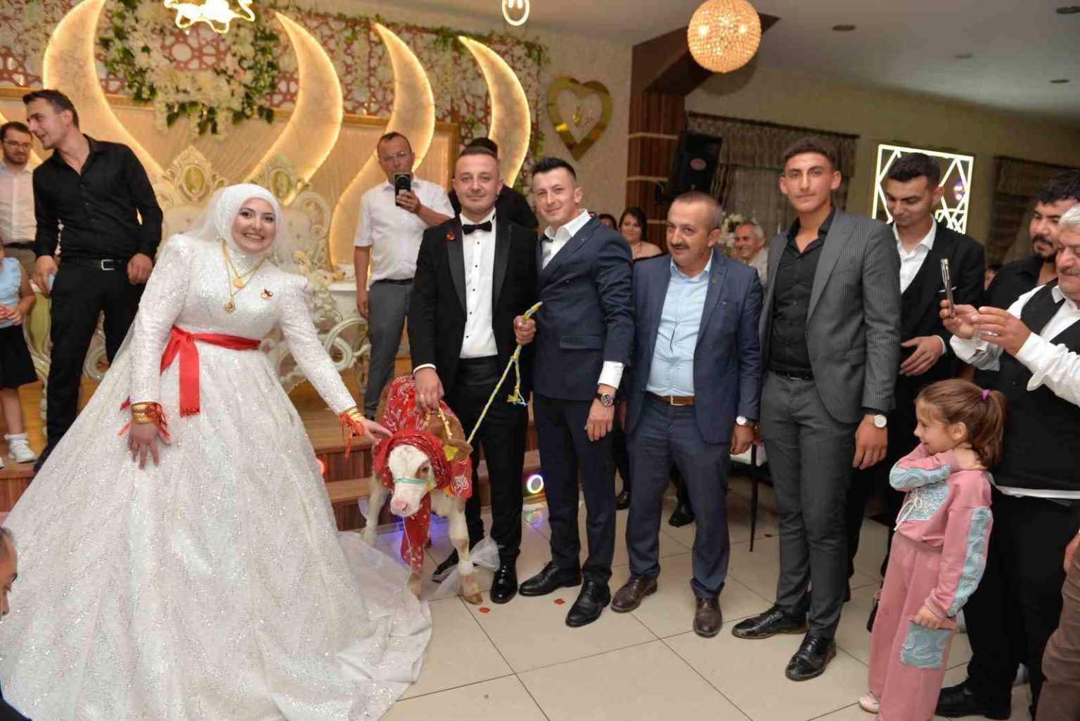 dugunde-gelin-ve-damada-ilginc-taki-buzagi-hediye-ettiler