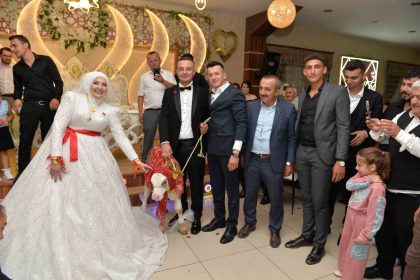 dugunde-gelin-ve-damada-ilginc-taki-buzagi-hediye-ettiler