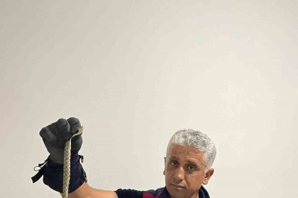 hatayda-eve-giren-yilanlari-itfaiye-yakaladi