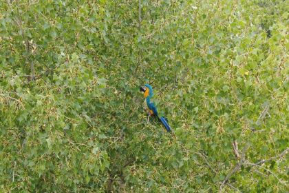 sivaslilarin-rusca-konusan-papaganla-imtihani