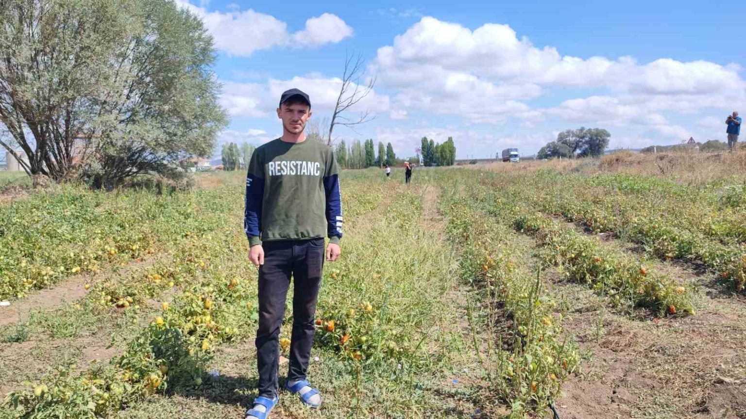 yozgatta-universite-ogrencisi-urettigi-domatesleri-tarlasinda-tuketicilerle-bulusturuyor